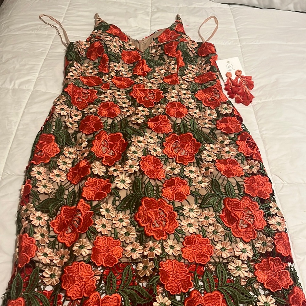 Xscape lace, coral dress
